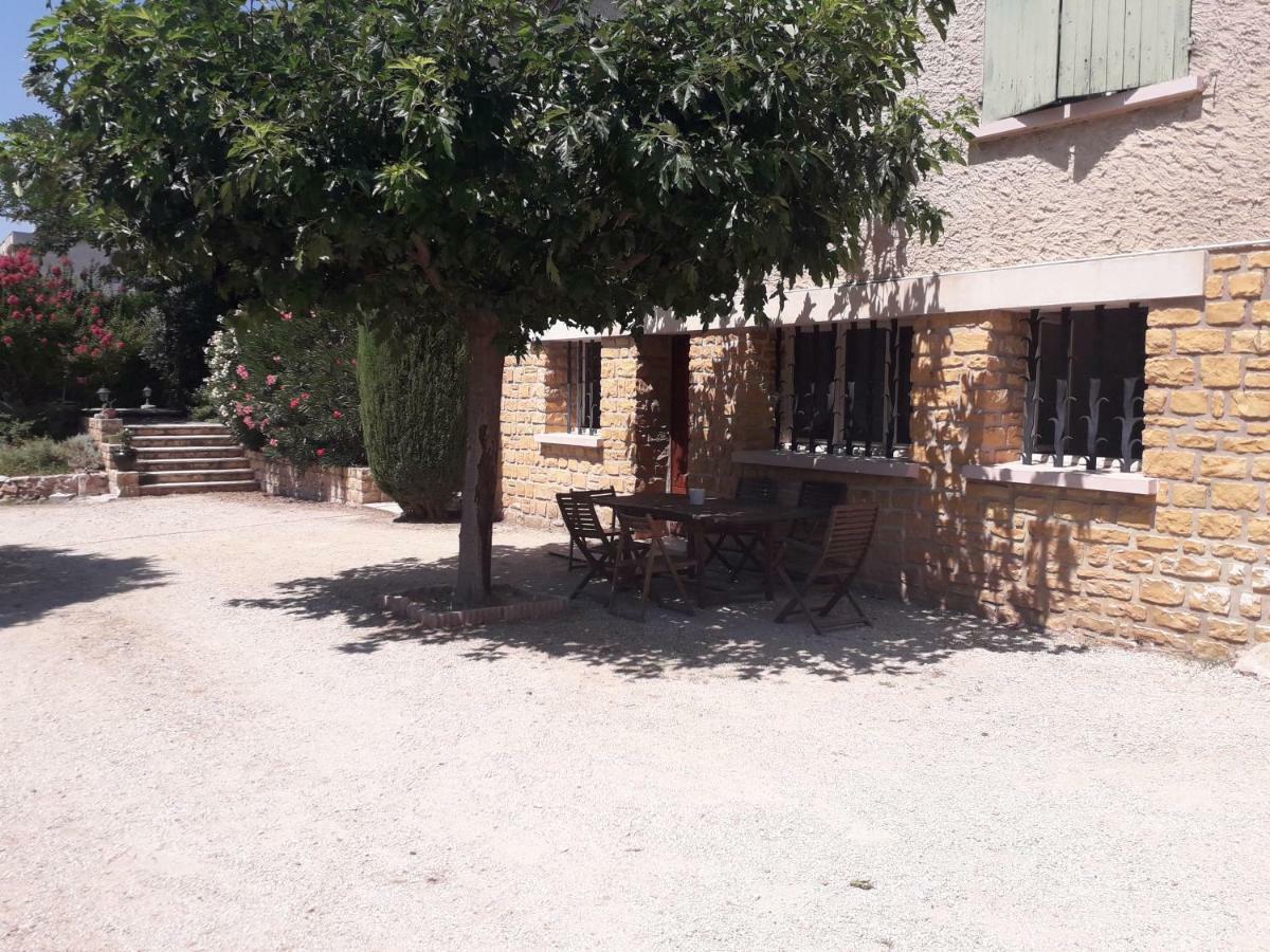 Les Oliviers Daire Carpentras Dış mekan fotoğraf